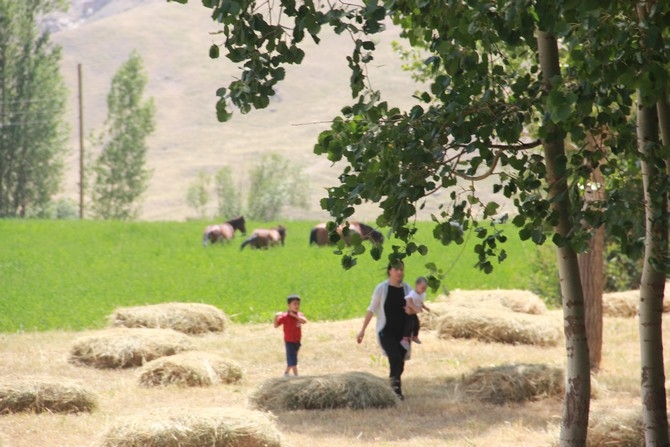 'Nivi Timeh etkinliği 2018 16