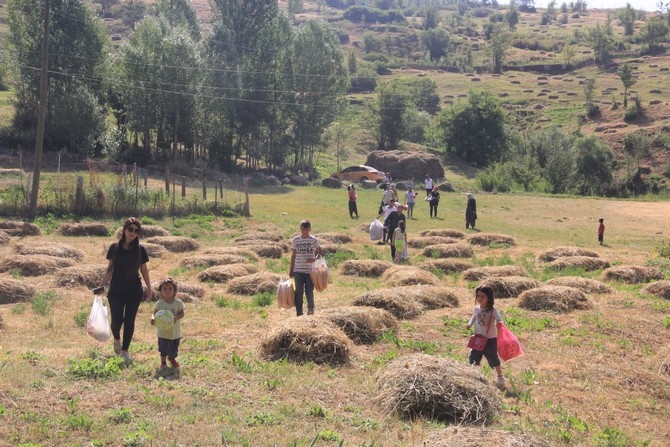 'Nivi Timeh etkinliği 2018 4