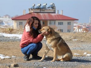 Can dostlara şefkat eli