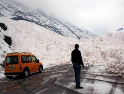 Hakkari'de 5 ayrı noktaya çığ düştü