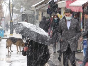 Van'da kar yağışı etkili oluyor