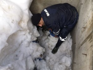 Hakkari'de 3 bin rakımda su çalışması