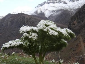 Uludere'de iki mevsim bir arada yaşanıyor