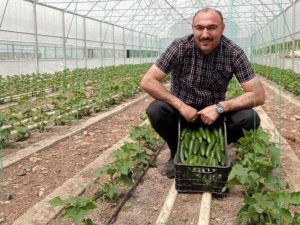 Belediye seraları ürün vermeye başladı