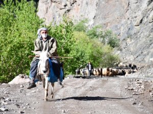 Göçerler yaylaya ulaştı