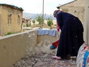 Yüksekova'da polenler şaşırtıyor!