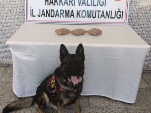 Kayalıklar arasında uyuşturucu bulundu