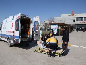 Van'da koronavirüs vakaları arttı