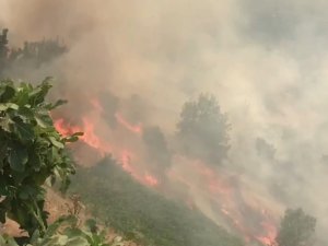 Çukurca Narlı köyünde korkutan yangın