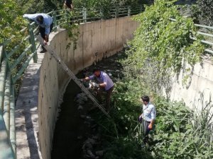 Belediye ekibinden kedi kurtarma operasyonu