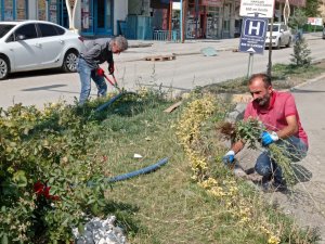 Belediye ekiplerinden ot biçme seferberliği