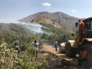 Şemdinli’deki  orman yangını söndürüldü