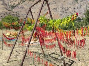 Hakkari köylerinde kışa hazırlık başladı