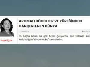 İsrail insanoğluna böcek yetirmeye hazırlanıyor