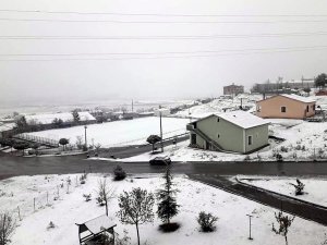 Kar yağışı zemini beyaza bürüdü