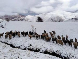 Yüksekova'da kar 5 santimi buldu