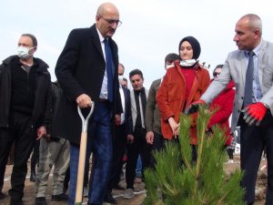 Selin vurduğu bölgede fidan dikimi yapıldı