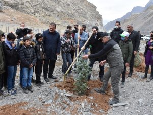Vali Akbıyık, Hakkari'de 87 bin fidan dikeceğiz