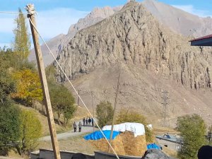 Hakkari'de aç kurtlar hayvan sürüsüne saldırdı