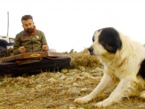 Yüksekova’nın yüksek dağlarında santur çaldı