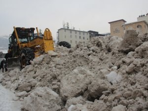 Hakkari dağları kent dışına taşındı