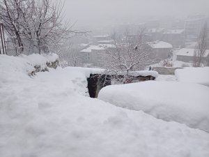 Hakkari'de 58 yerleşim yerinin yolu kapandı
