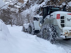 Hakkari'de 285 yerleşim yolu ulaşıma kapandı
