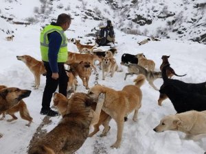 Can dostlar için seferber oldular