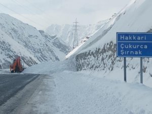 Hakkari-Van karayoluna çığ düştü