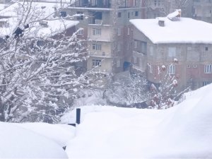 Hakkari’de 155 yerleşim yeri yolu ulaşıma kapandı