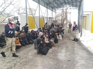 130 düzensiz göçmen yakalandı