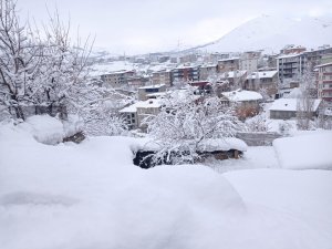 Hakkari'de 239 yerleşim yerinin yolu kapandı