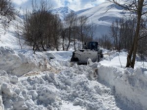 Hakkari Ceyhanlı köy yolu böyle açıldı