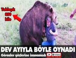 Ayı ile neşeli oyun