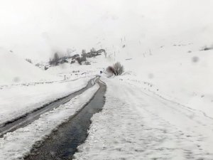 Dağlıca'da çığ tehlikesi yol kapattı