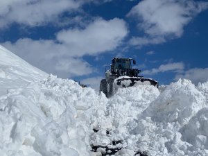 Hakkari'de 84 yerleşim yeri yolu kapandı