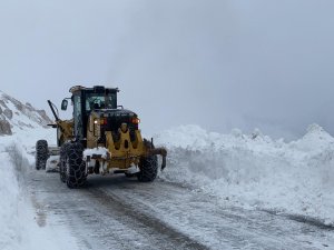 Hakkari'de 89 yerleşim yeri yolu kapandı