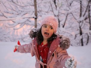 Vatandaşlar karın keyfini çıkardı