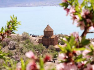 Akdamar Adası Badem Çiçeği Festivali