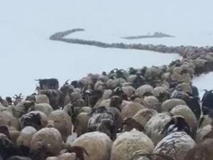 Mayıs ayında kar altında yayla yolculuğu