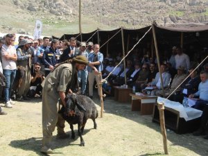 Kato Dağı’nda festival coşkusu