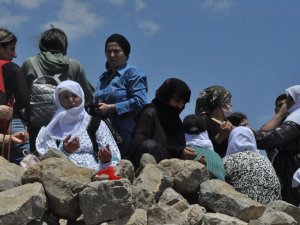 Cudi Dağı’nda, Festivali düzenleniyor