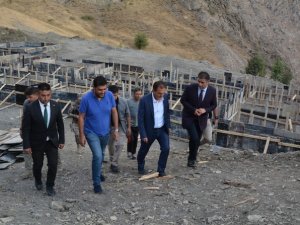 Hakkari'ye 5,5 milyonluk hayvan barınağı