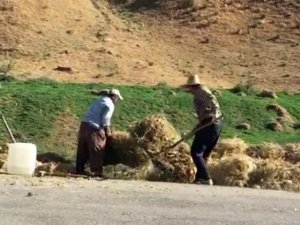 Çiftçilerin zorlu mesaisi