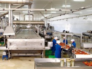 Fabrikada çalışacak Hakkarili eleman aranıyor