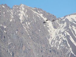 Kato dağına askeri sevkiyat sürüyor