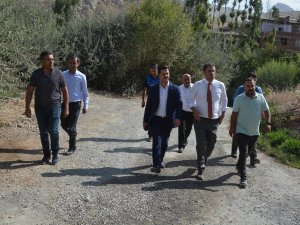Kasımoğlu Bağlarda incelemelerde bulundu