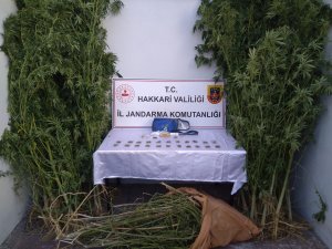 Yüksekova'da 81 kilo esrar ele geçirildi
