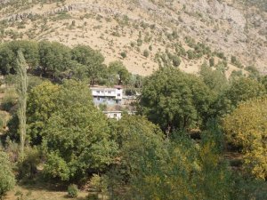 Beytüşşebap'ta sonbahar manzaraları