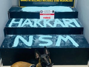 5 kilo Ecstasy maddesi ele geçirildi